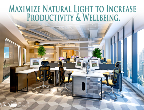 Maximize Natural Light to Increase Productivity & Wellbeing